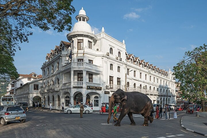EVERYTHING IN KANDY MULTIPLE OPTIONS ToURS - Photo 1 of 25